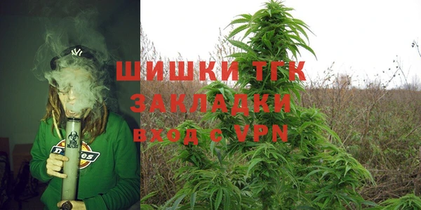 эйфоретик Арсеньев