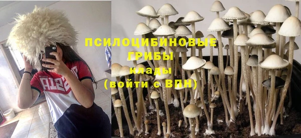 эйфоретик Арсеньев