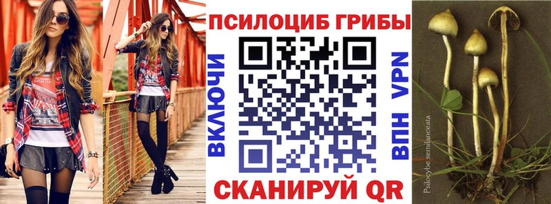 где купить наркоту  мега   Псилоцибиновые грибы Magic Shrooms  Луховицы 